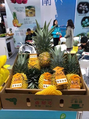 來自最新鮮的跳動(dòng)——2019新零售生鮮食材展引領(lǐng)新鮮水果零售新風(fēng)潮